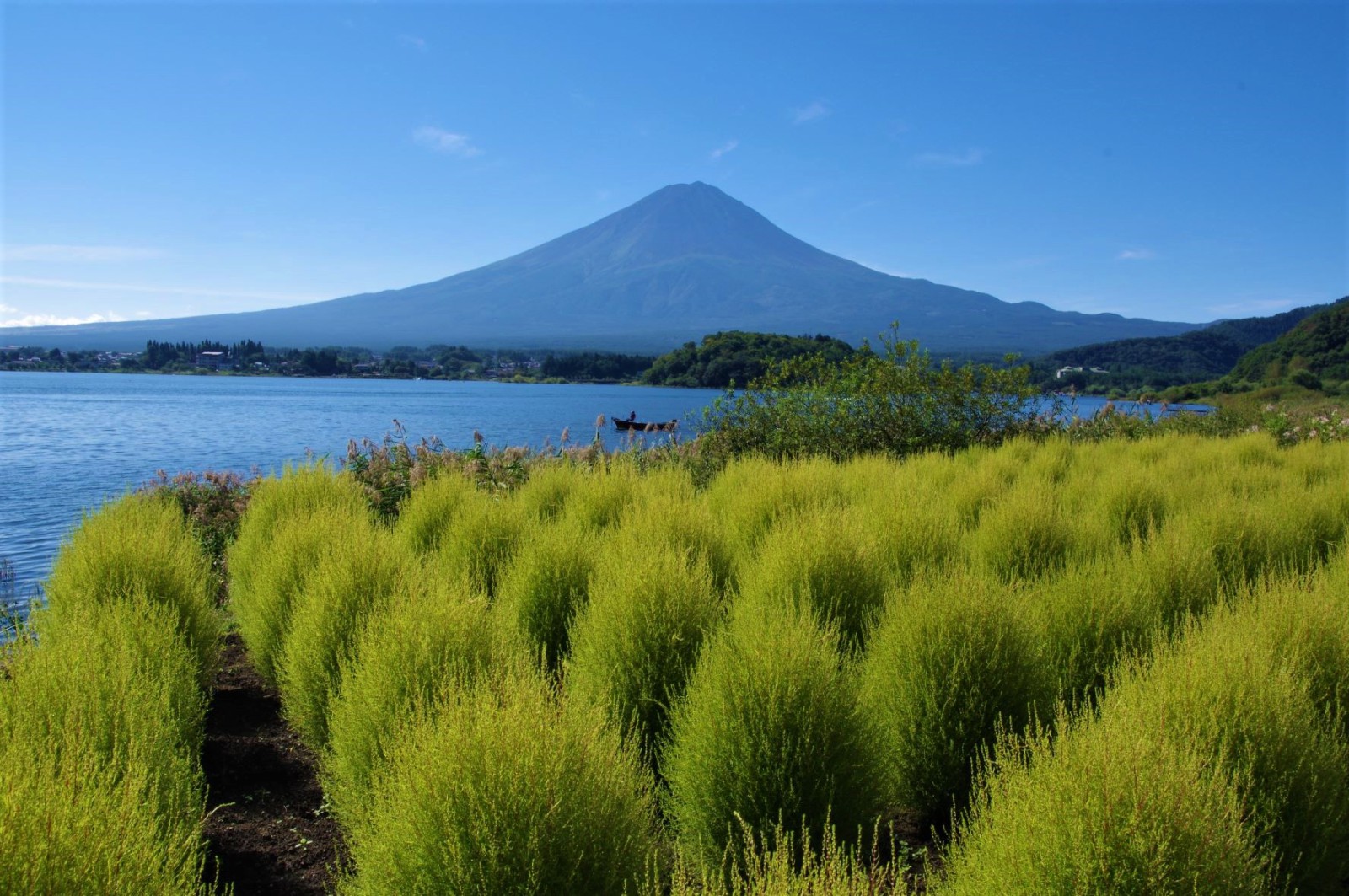 富士山画像記録