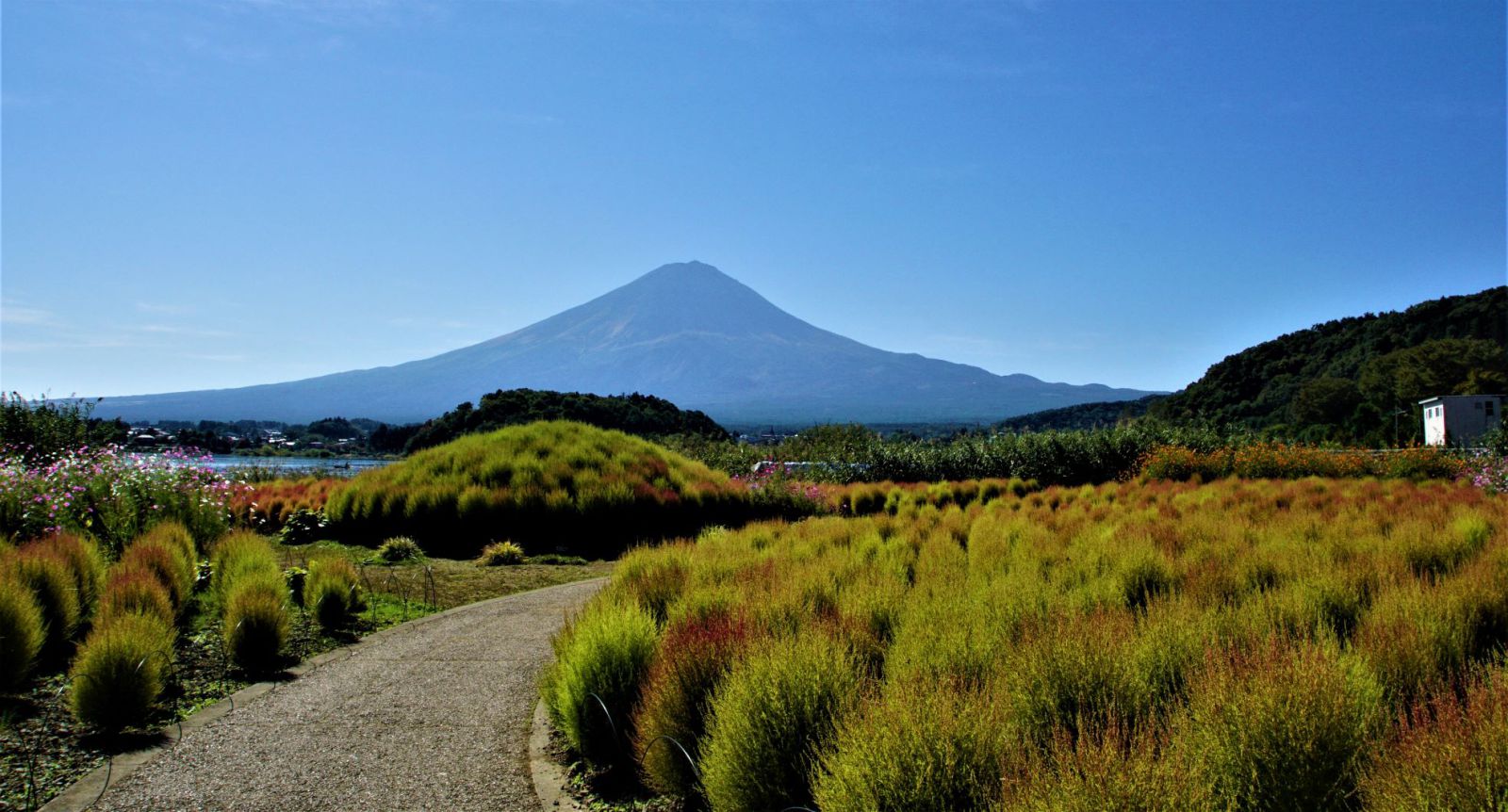 富士山画像記録