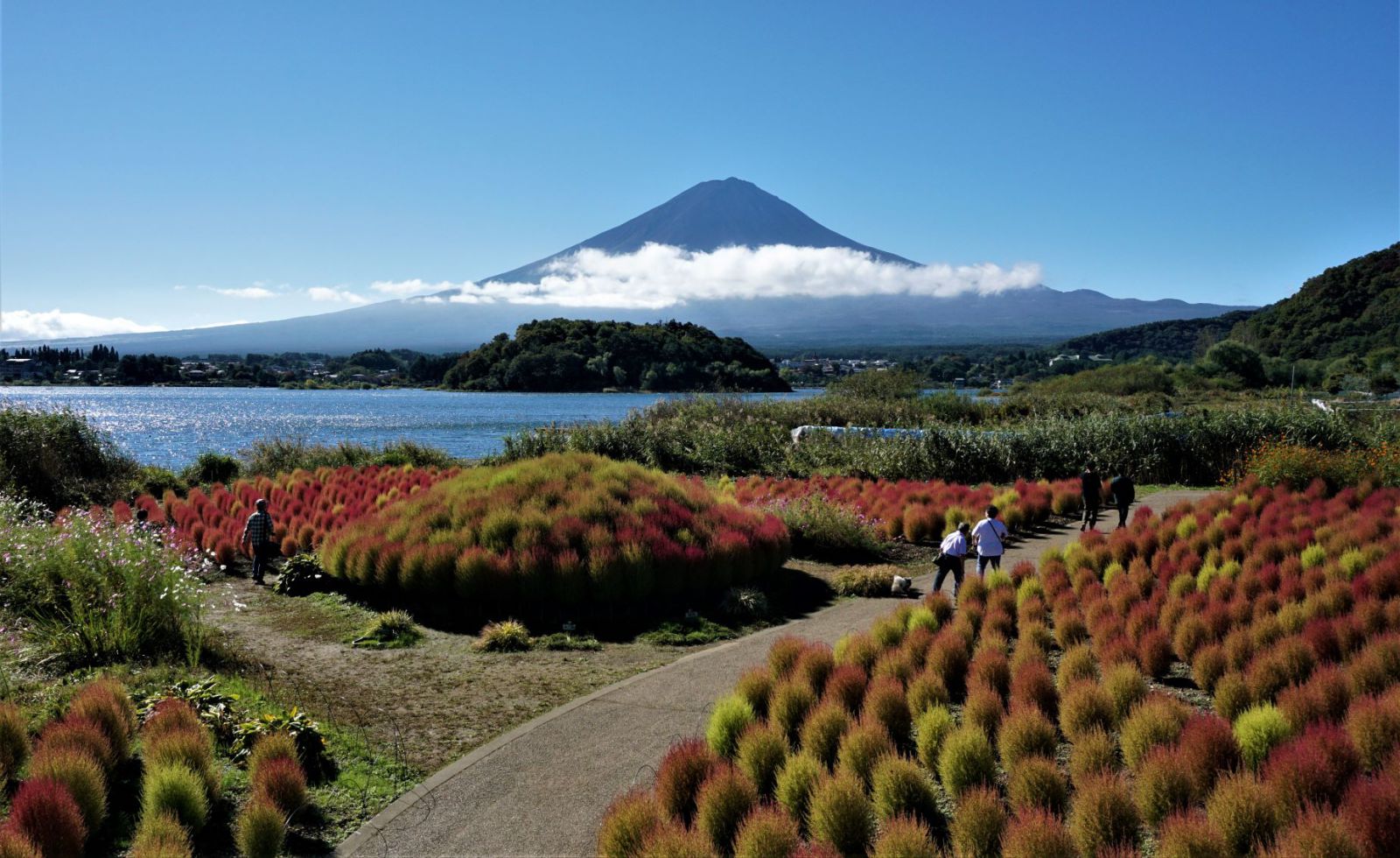 富士山画像記録