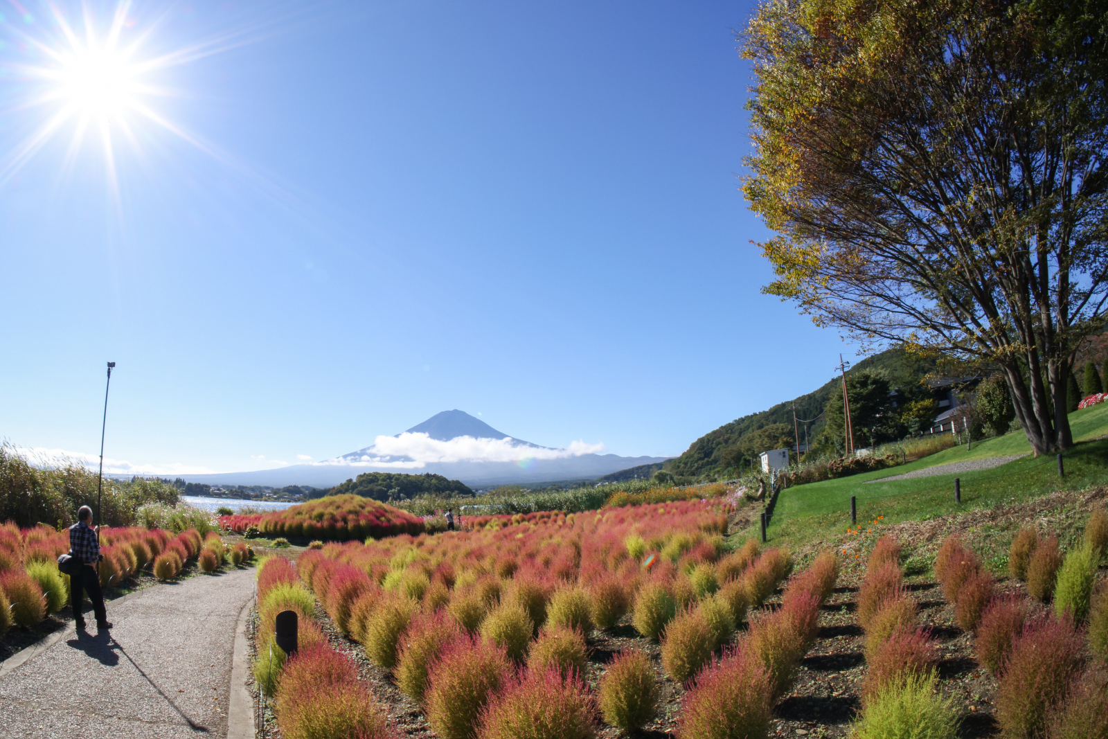 富士山画像記録