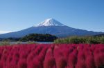 富士山画像記録