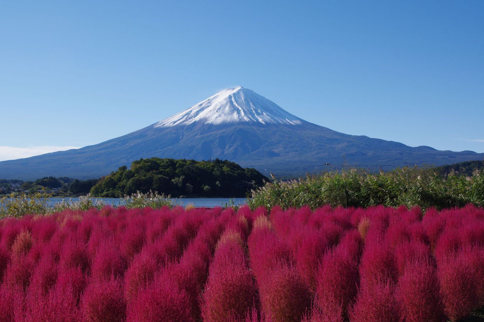 富士山画像記録