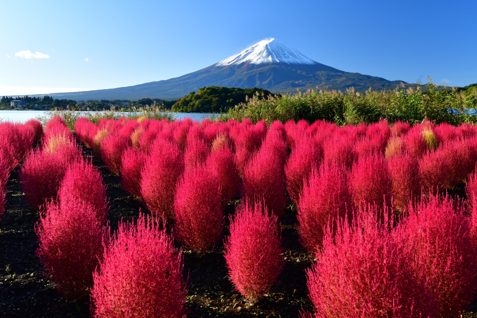 富士山画像記録