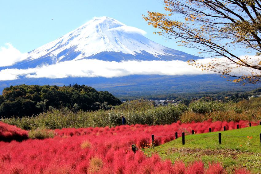 富士山画像記録