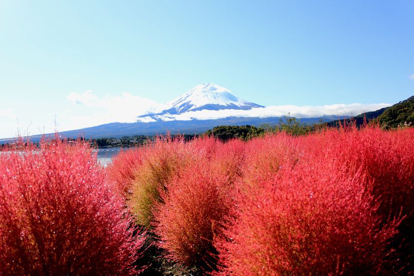 富士山画像記録