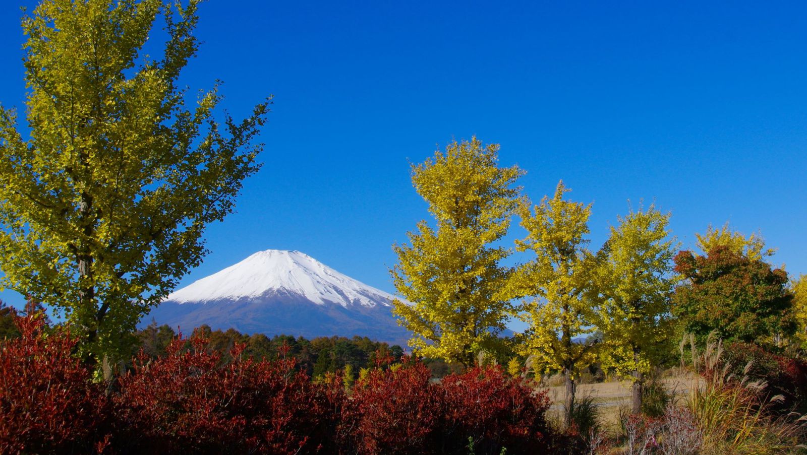 富士山画像記録