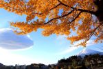 富士山画像記録