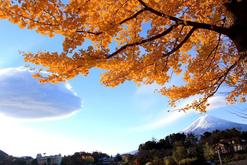 富士山画像記録