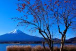 富士山画像記録