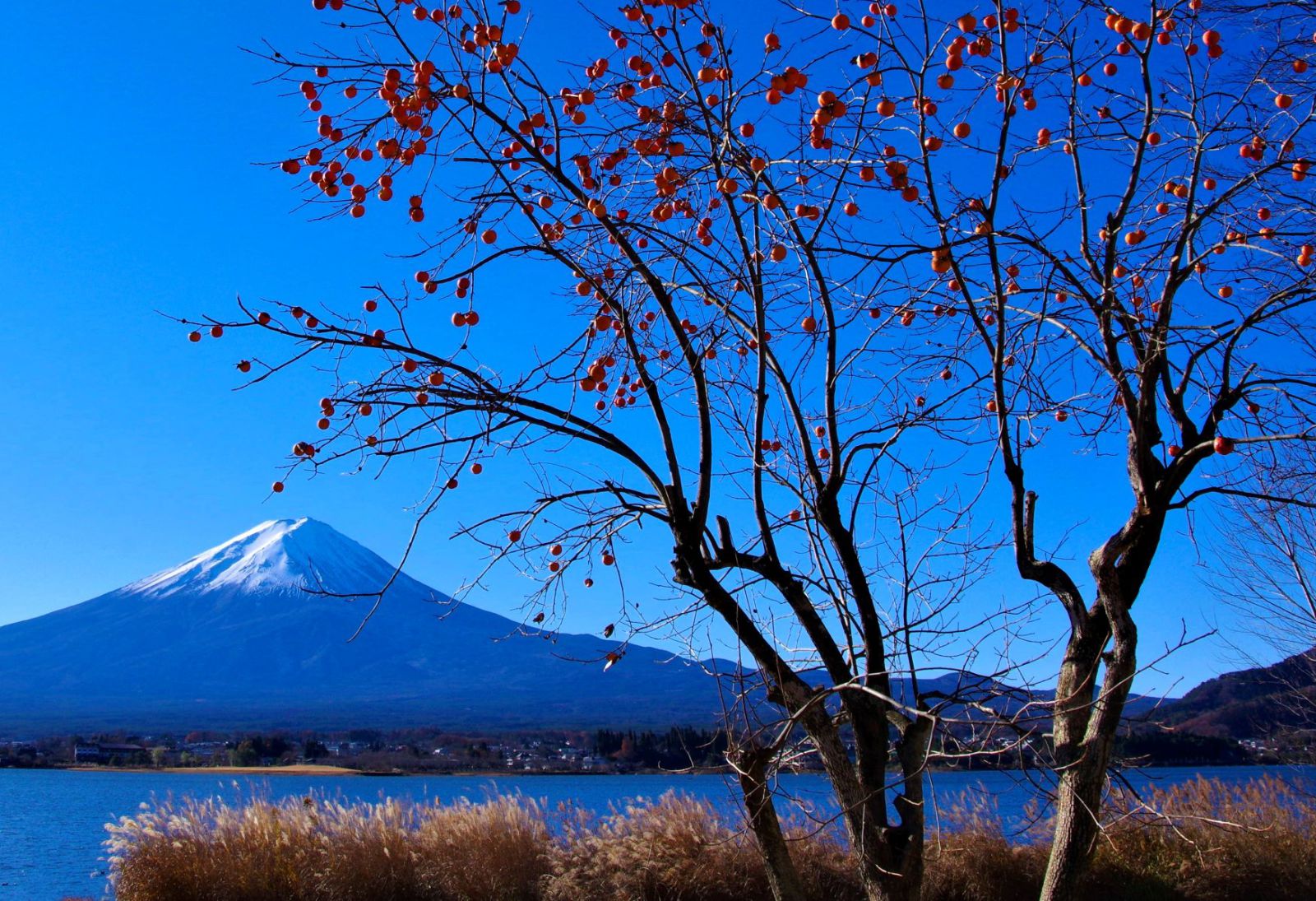 富士山画像記録