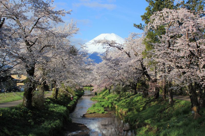 富士山画像記録