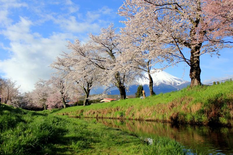 富士山画像記録