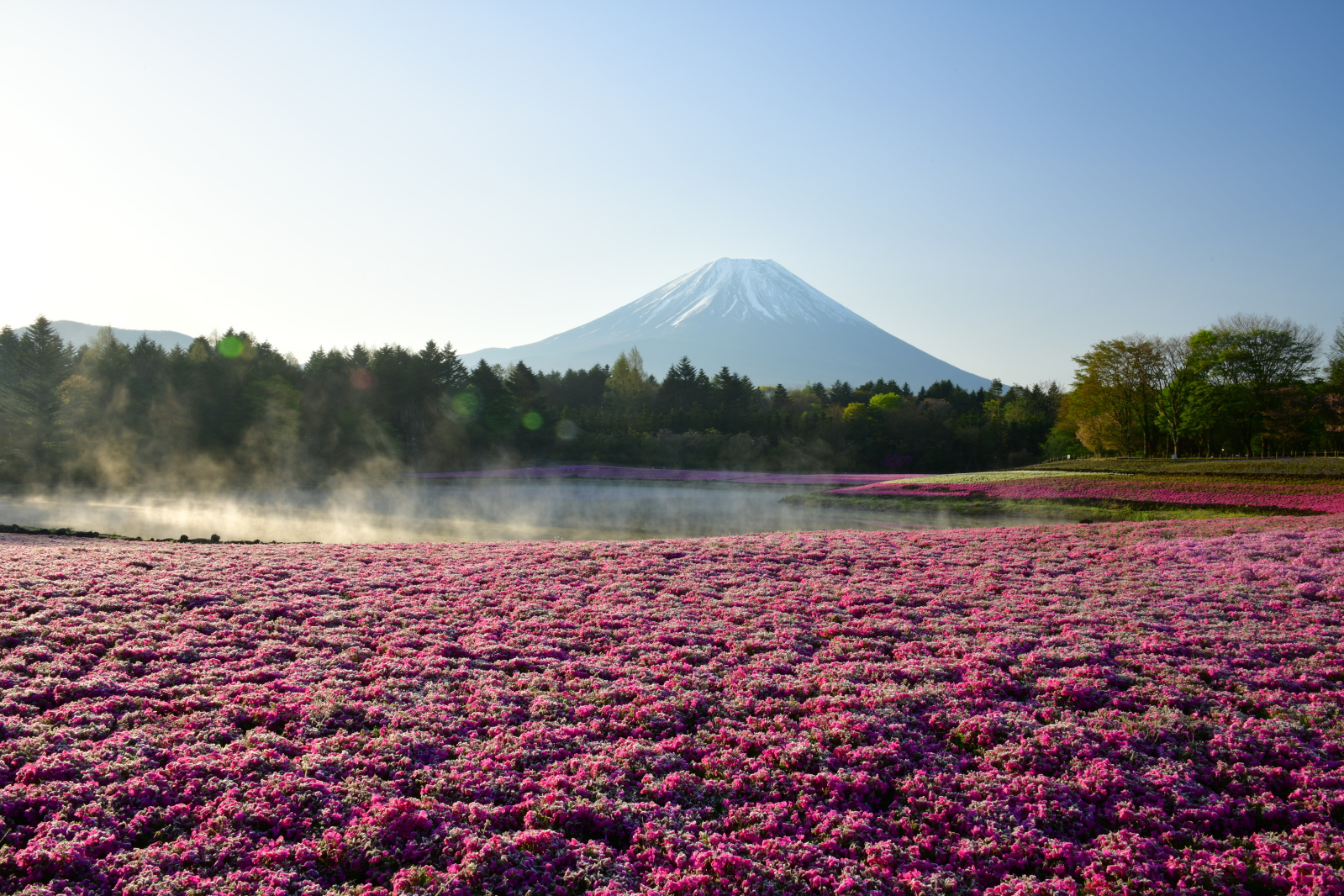 富士山画像作品