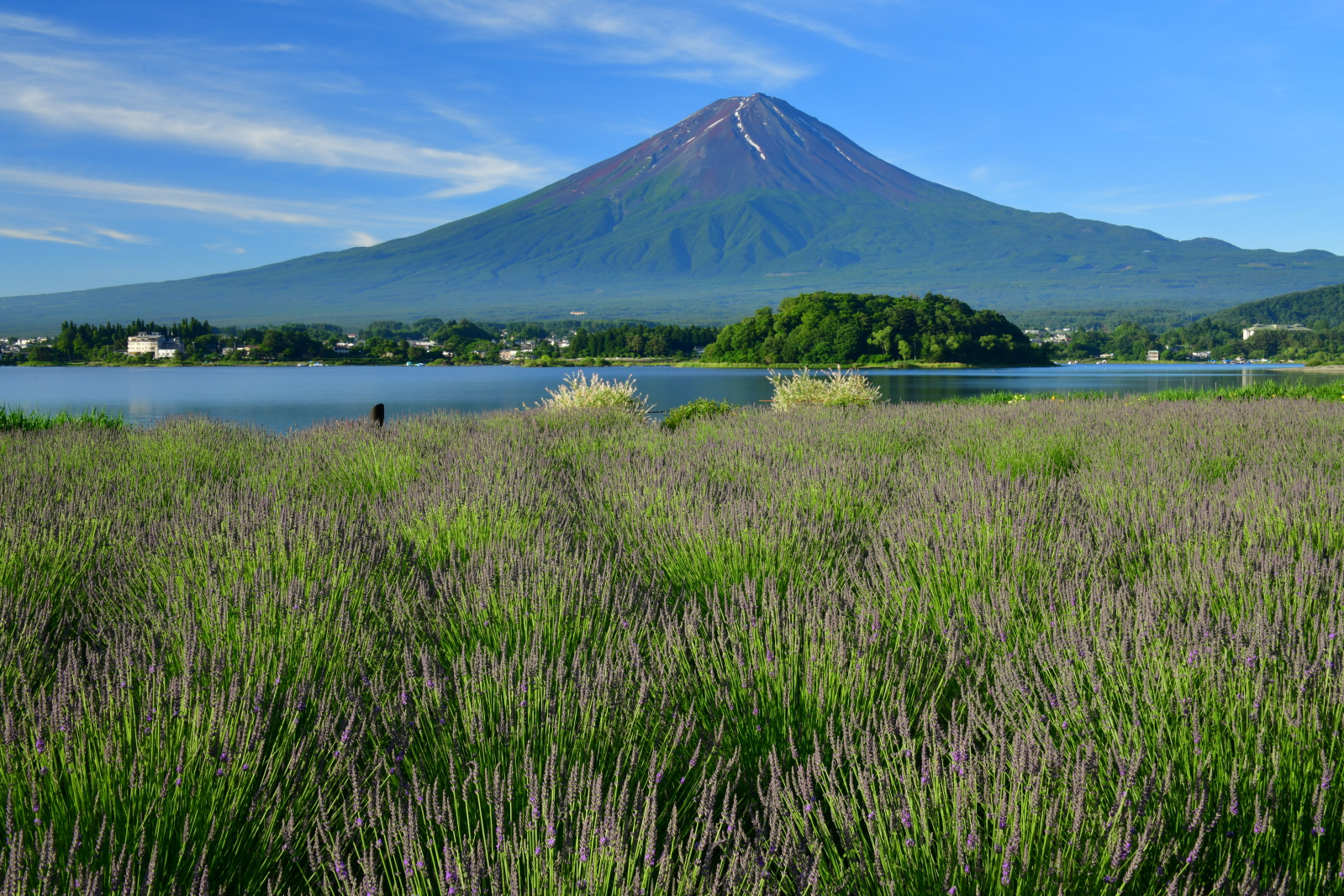 富士山画像記録