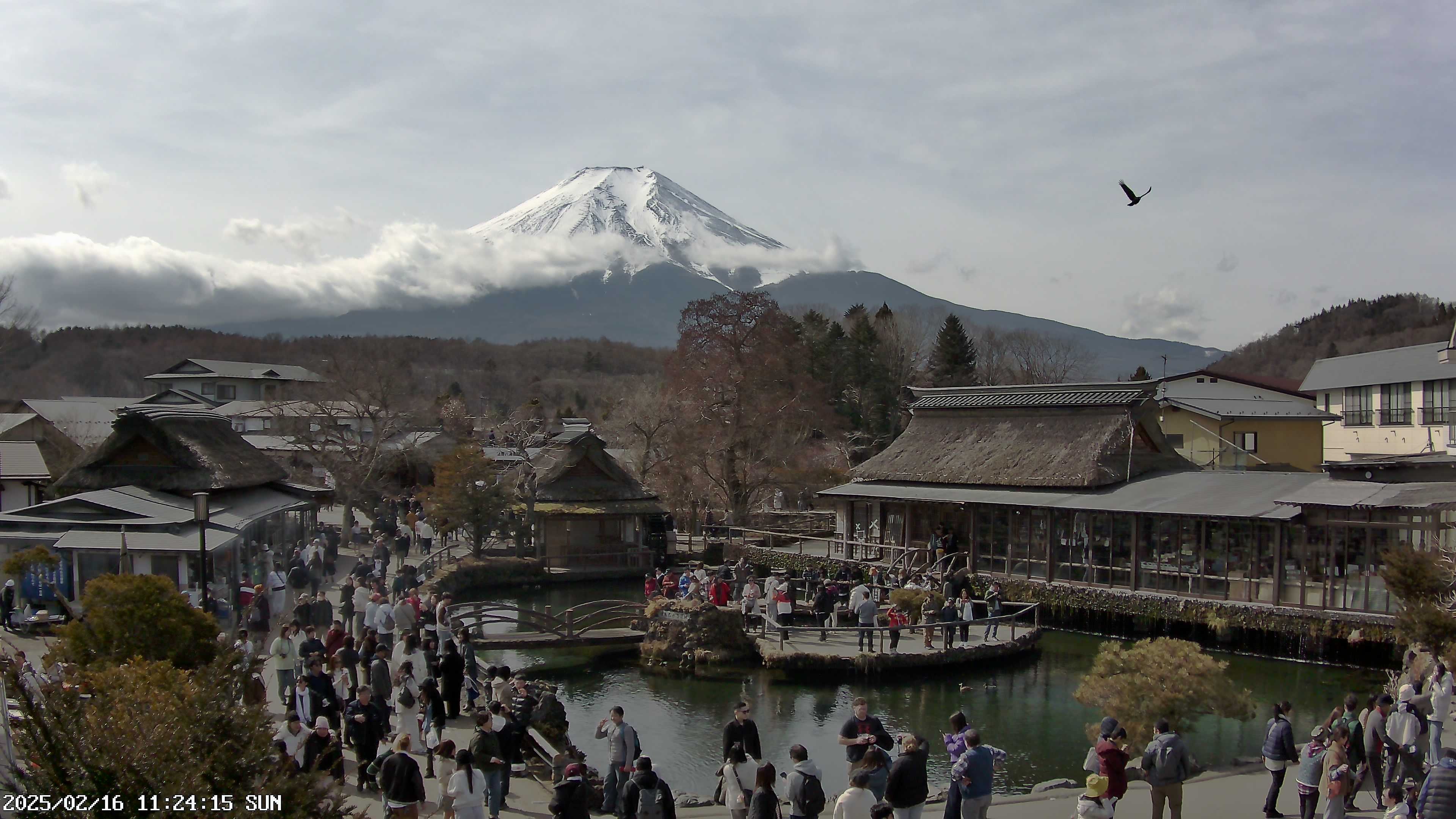 富士山ライブカメラベスト画像