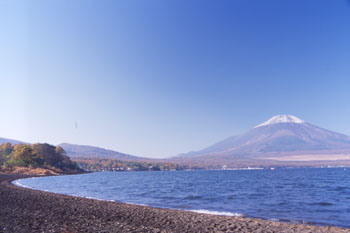 山中湖東岸（平野）