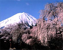 勝山観光協会・勝山民宿組合