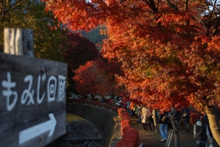 河口湖紅葉祭