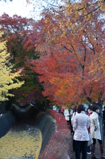 河口湖紅葉祭