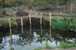 忍野八海　銚子池