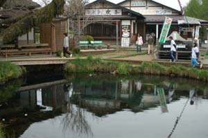 忍野八海　湧池