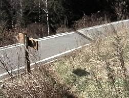 足川村すずらん峠登山道