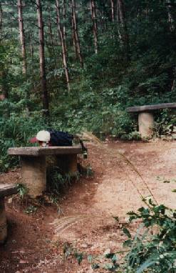表ルート登山道