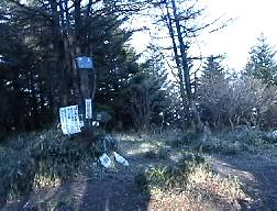 金山の分岐