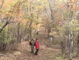 毛無山へ