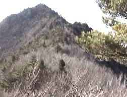 釈迦ヶ岳途中の登山道から頂上を