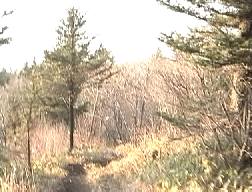 明るい破風山